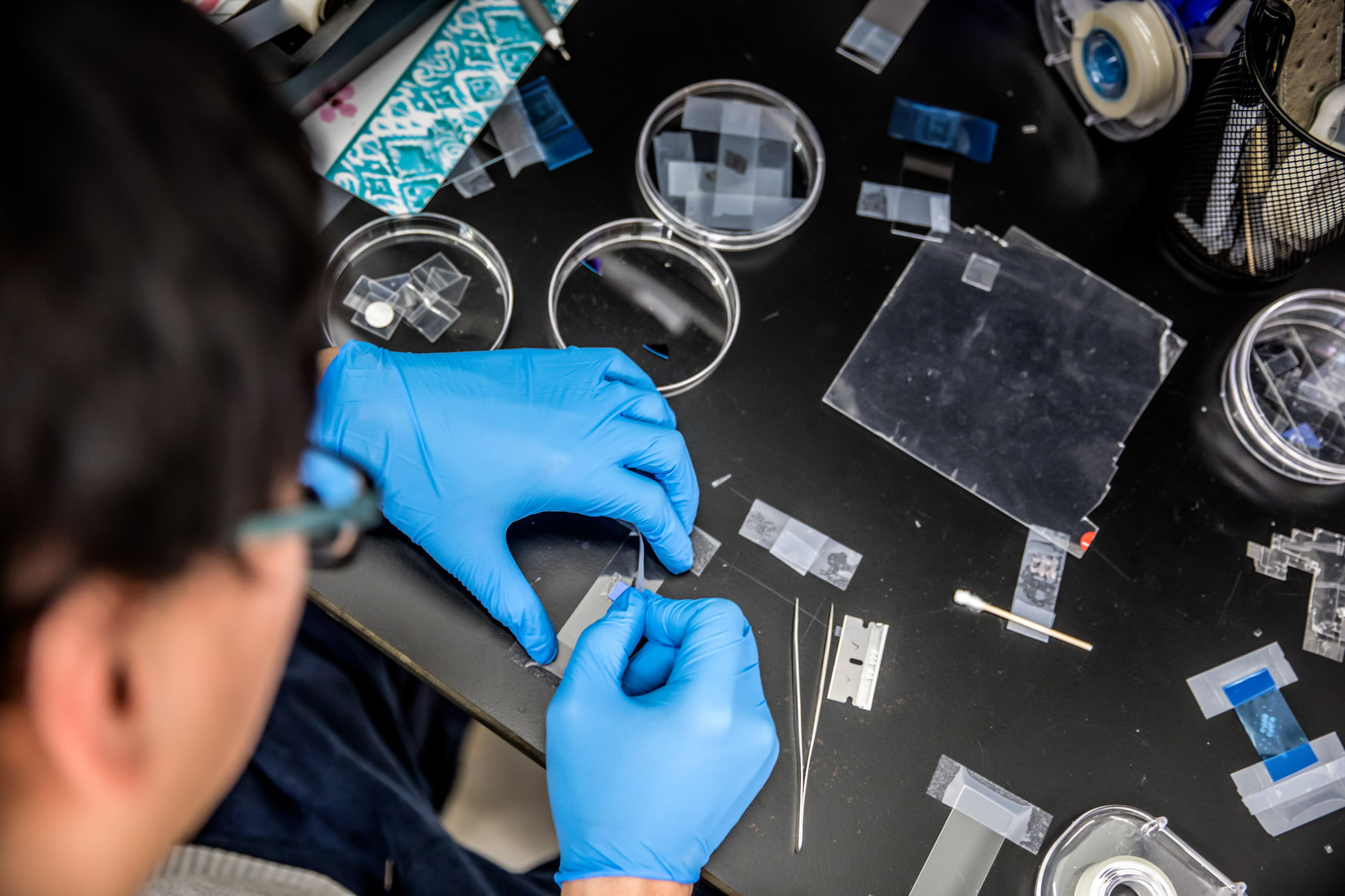A students wearing blue nitrile gloves creates slide for a microscope in the combined lab of Kin Fai Mak, assistant professor of physics, and Jie Shan, professor of Applied and Engineering Physics