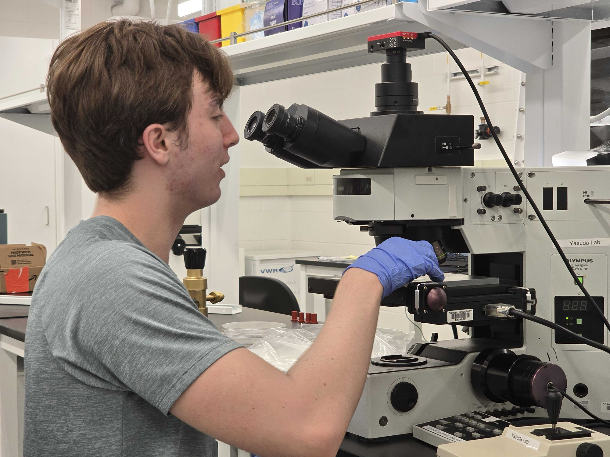 A student looks into a microscope.