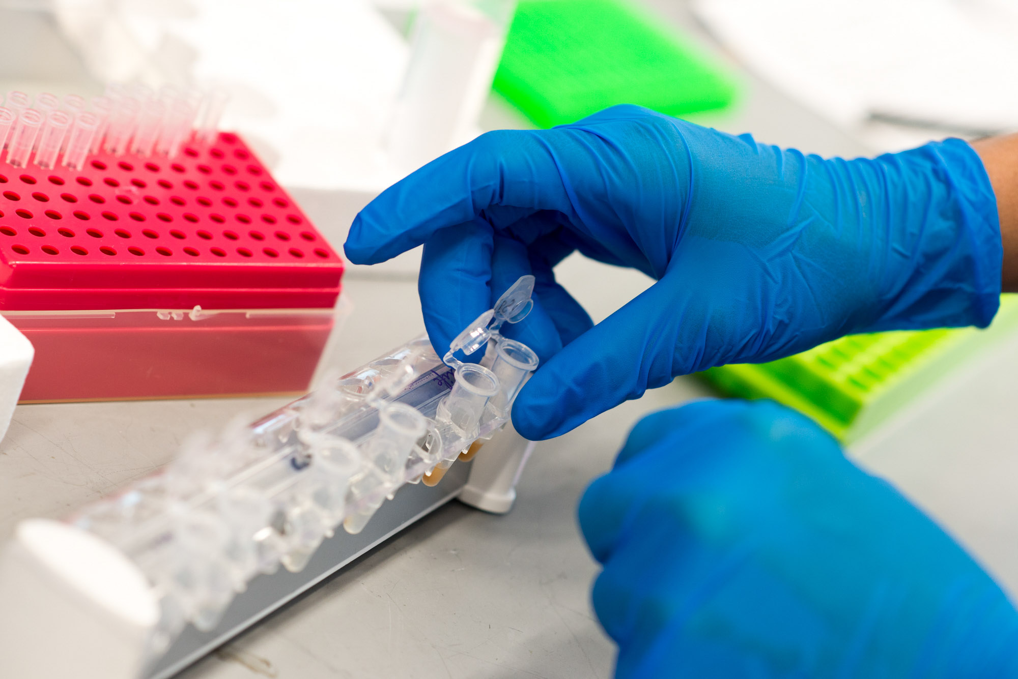 A researcher wearing blue gloves works with vials in the De Vlaminck Lab.