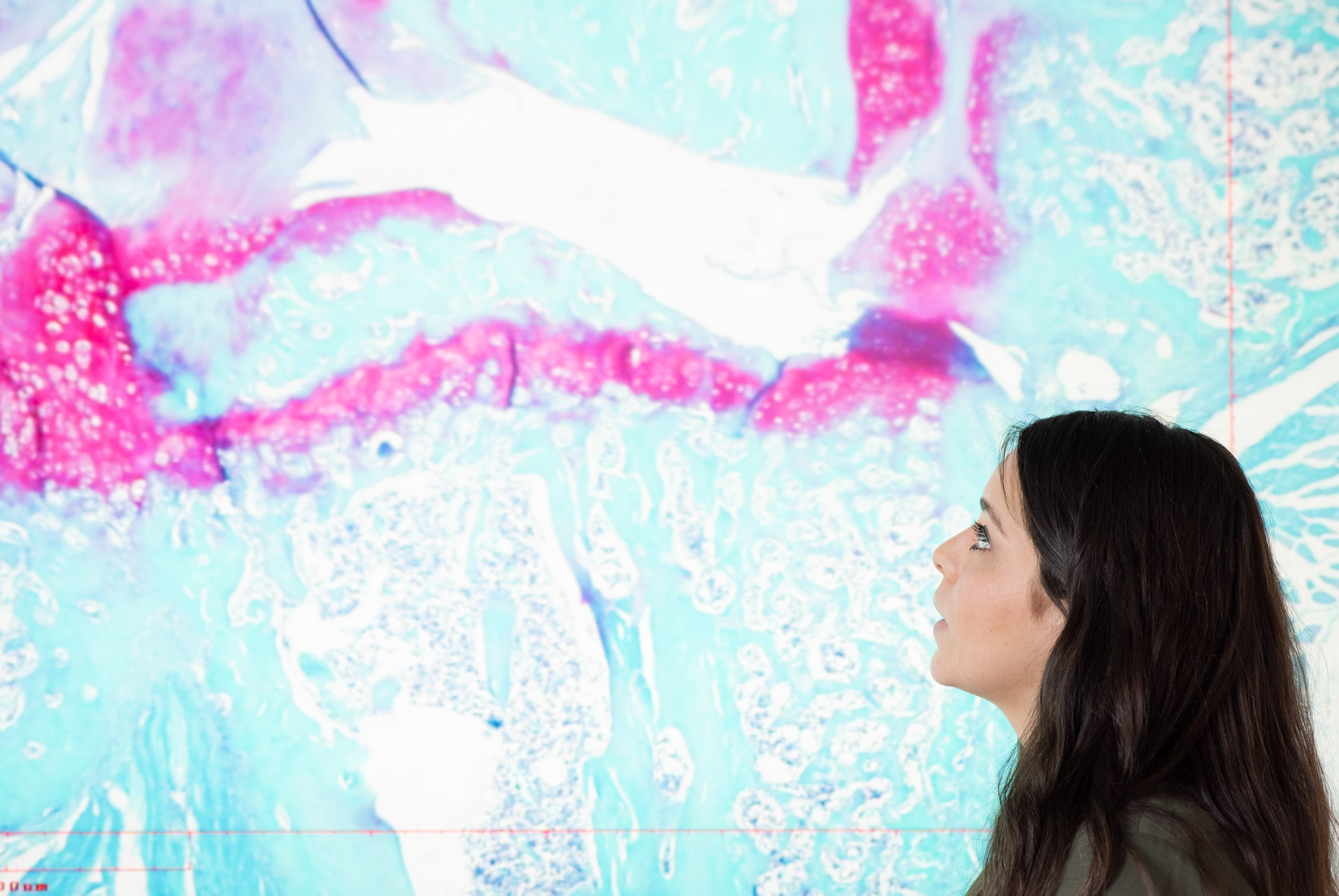 A student looks at test results on a large screen in the Hernandez lab