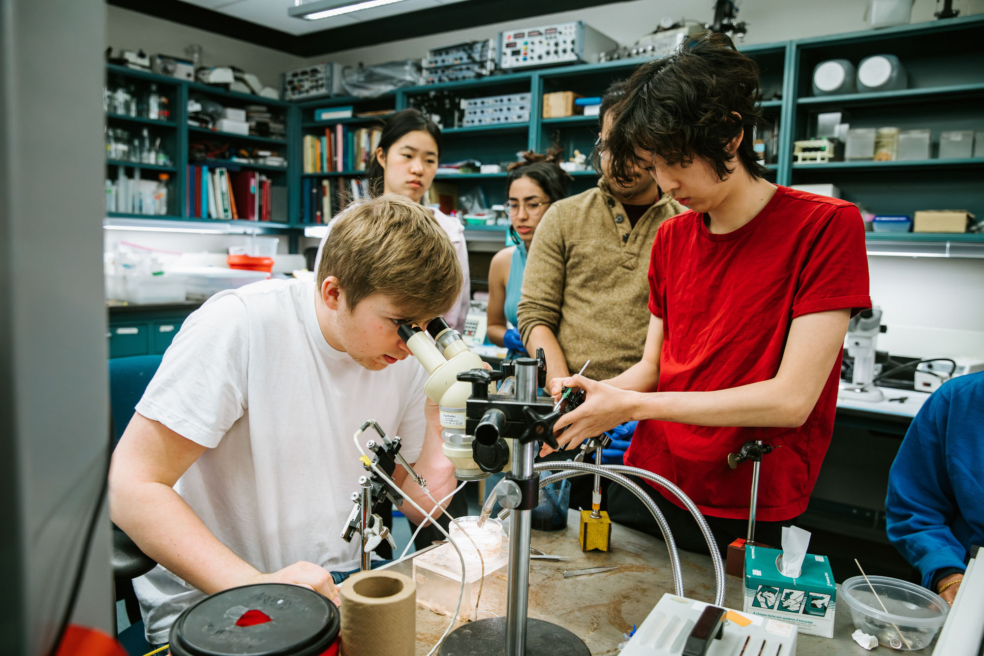 Students in Shivaun Archer's lab stand around another student looking through a microscope