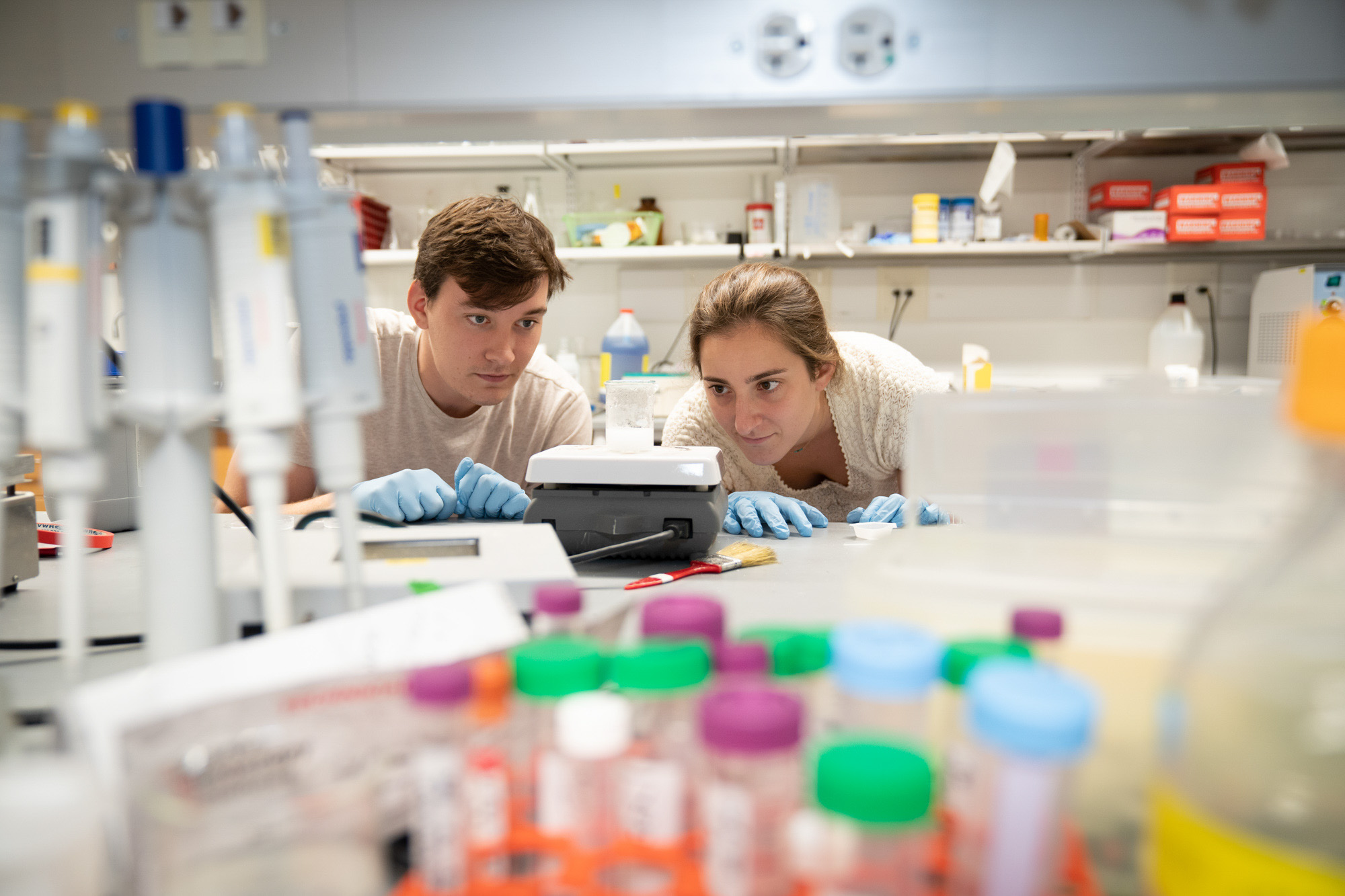 Two students work together in a biomedical engineering lab that is full of test tubes