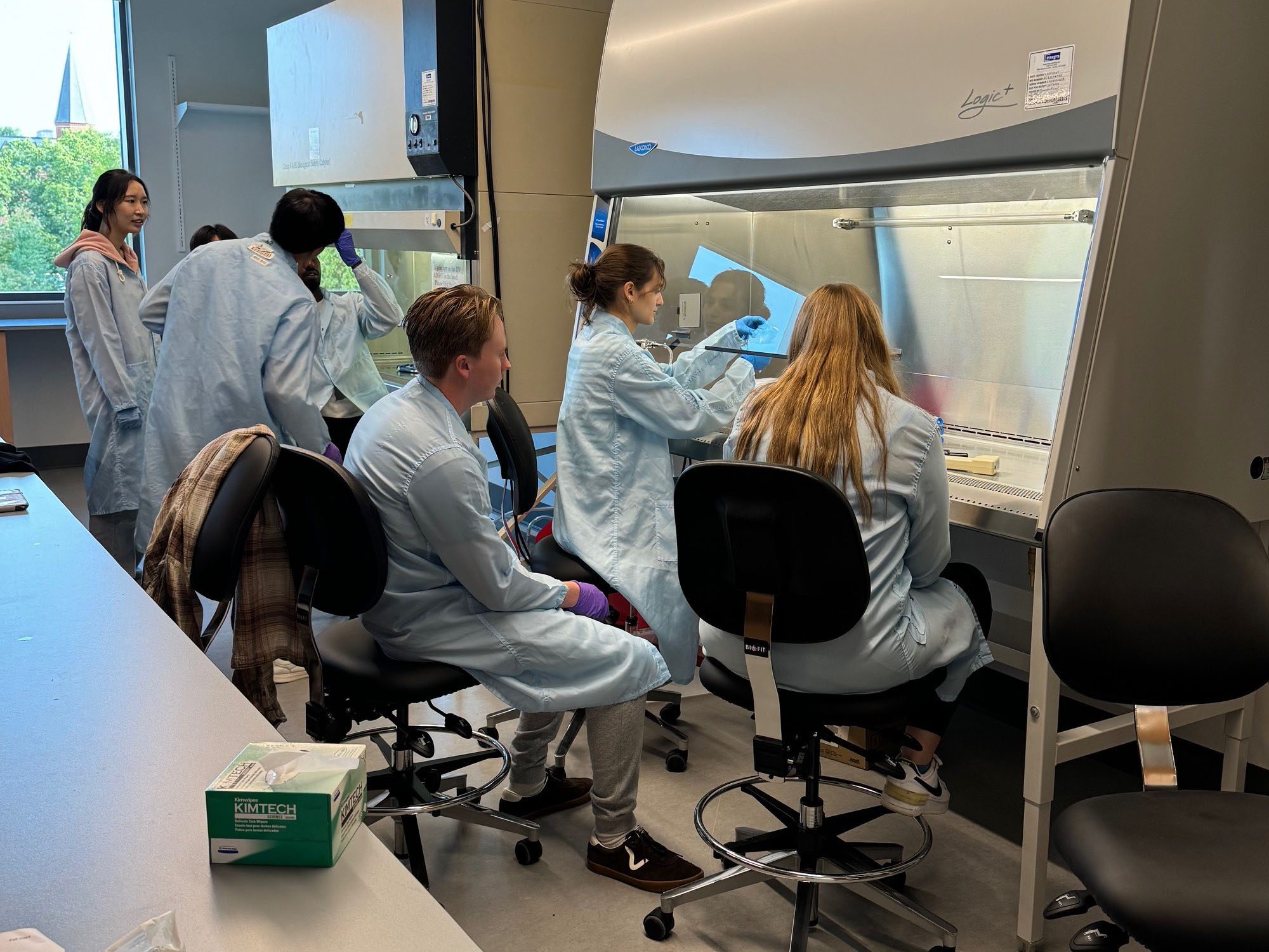 Students wearing lab coats work together in fume hood on tissue culture experiments.
