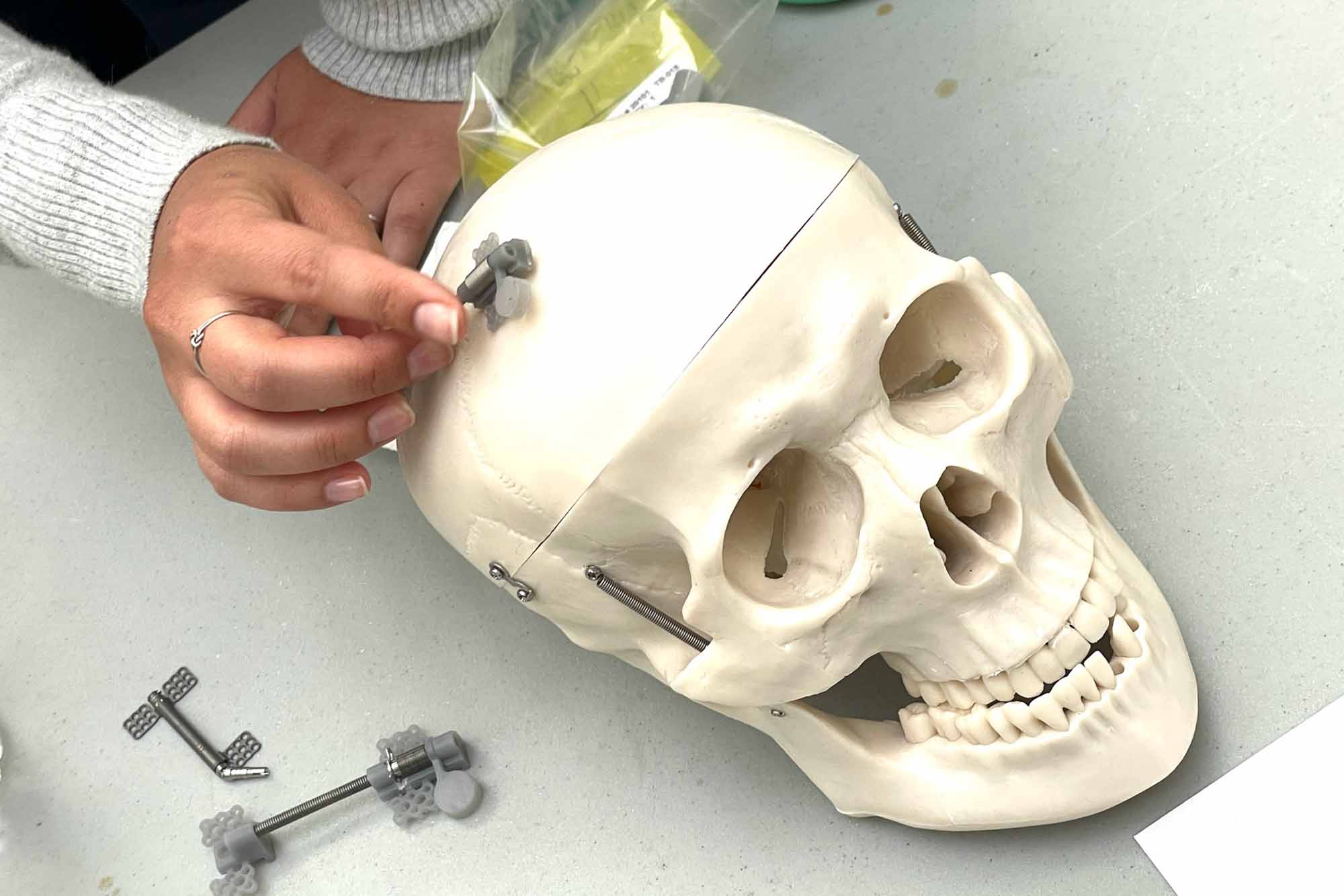 A student shows her project on a model of a human skull at the BME Industry Day M.Eng. Showcase.