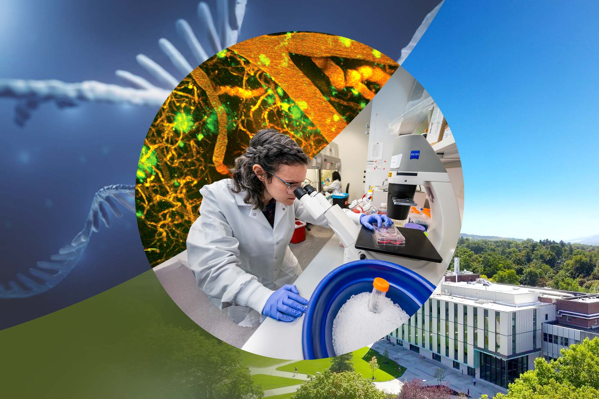 2024 newsletter cover graduate student works with biomedical samples at lab bench