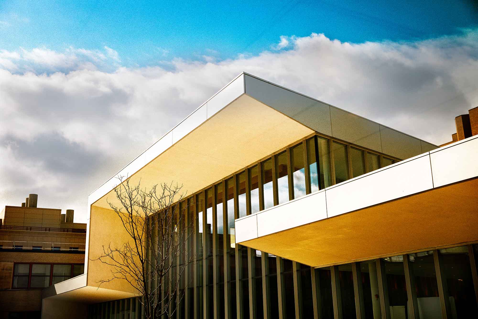Cornell college of veterinary medicine thurman hall outside view.