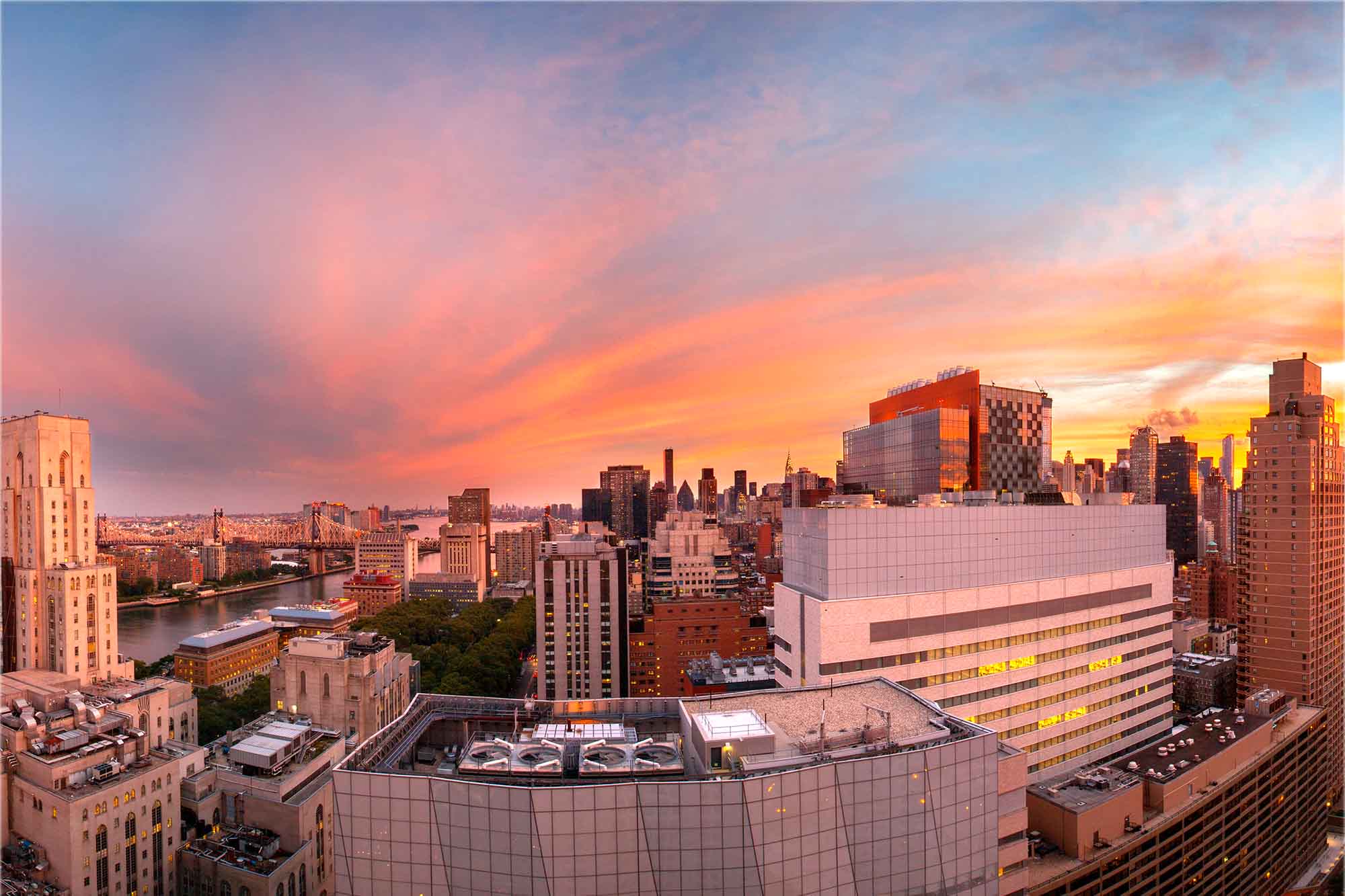 Weill Cornell Medicine cityscape