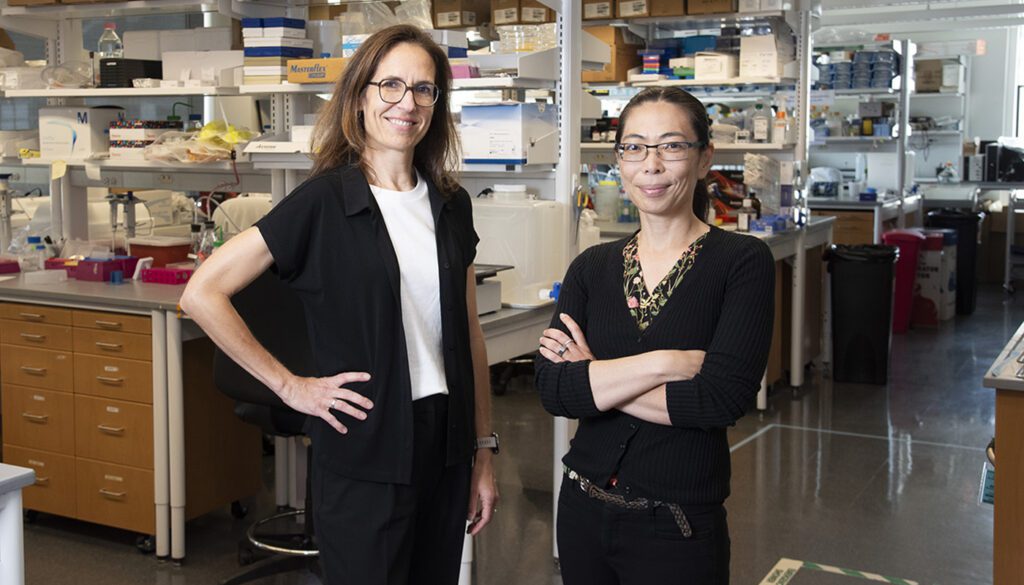 Claudia Fischbach and Nozomi Nishimura stand together in a Weill Hall laboratory.