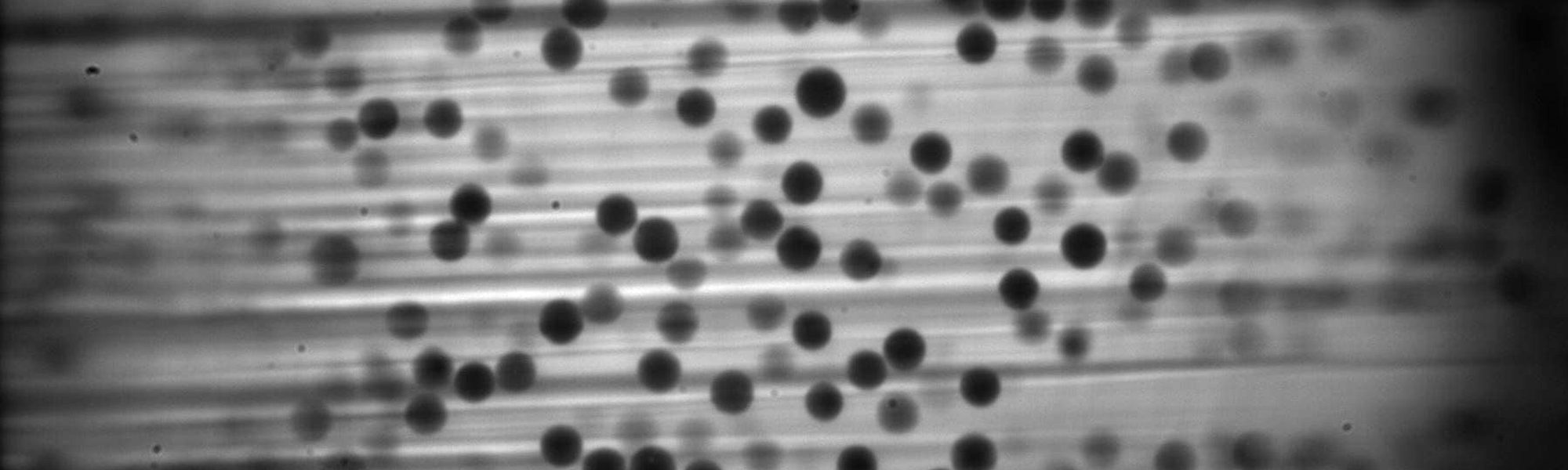 Sarah Hormozi research image of particles in suspension.