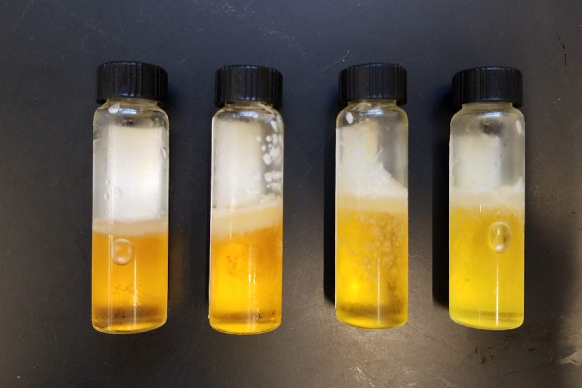 Jillian Goldfarb lab liquid biofuels in four vials.