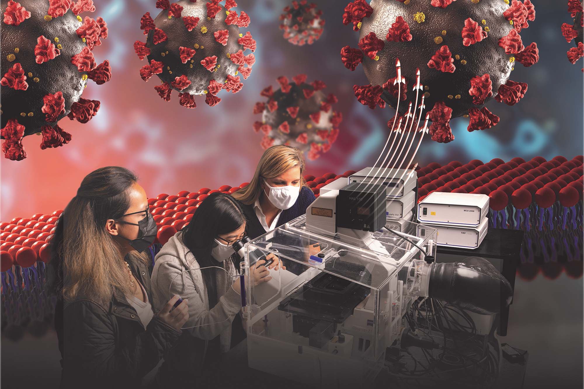 Susan Daniel Lab and students work on COVID-19 research