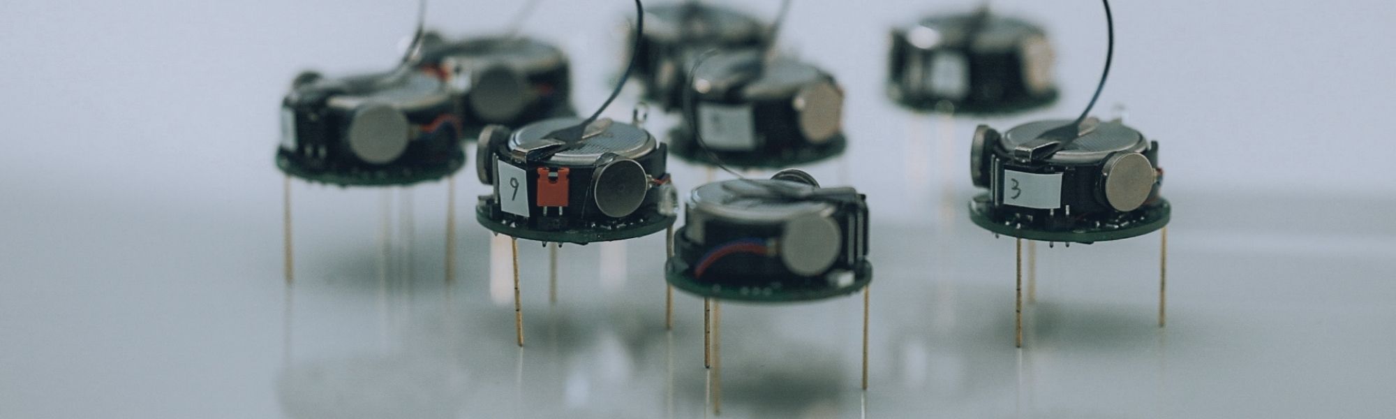 microbots in Kristin Peterson's lab