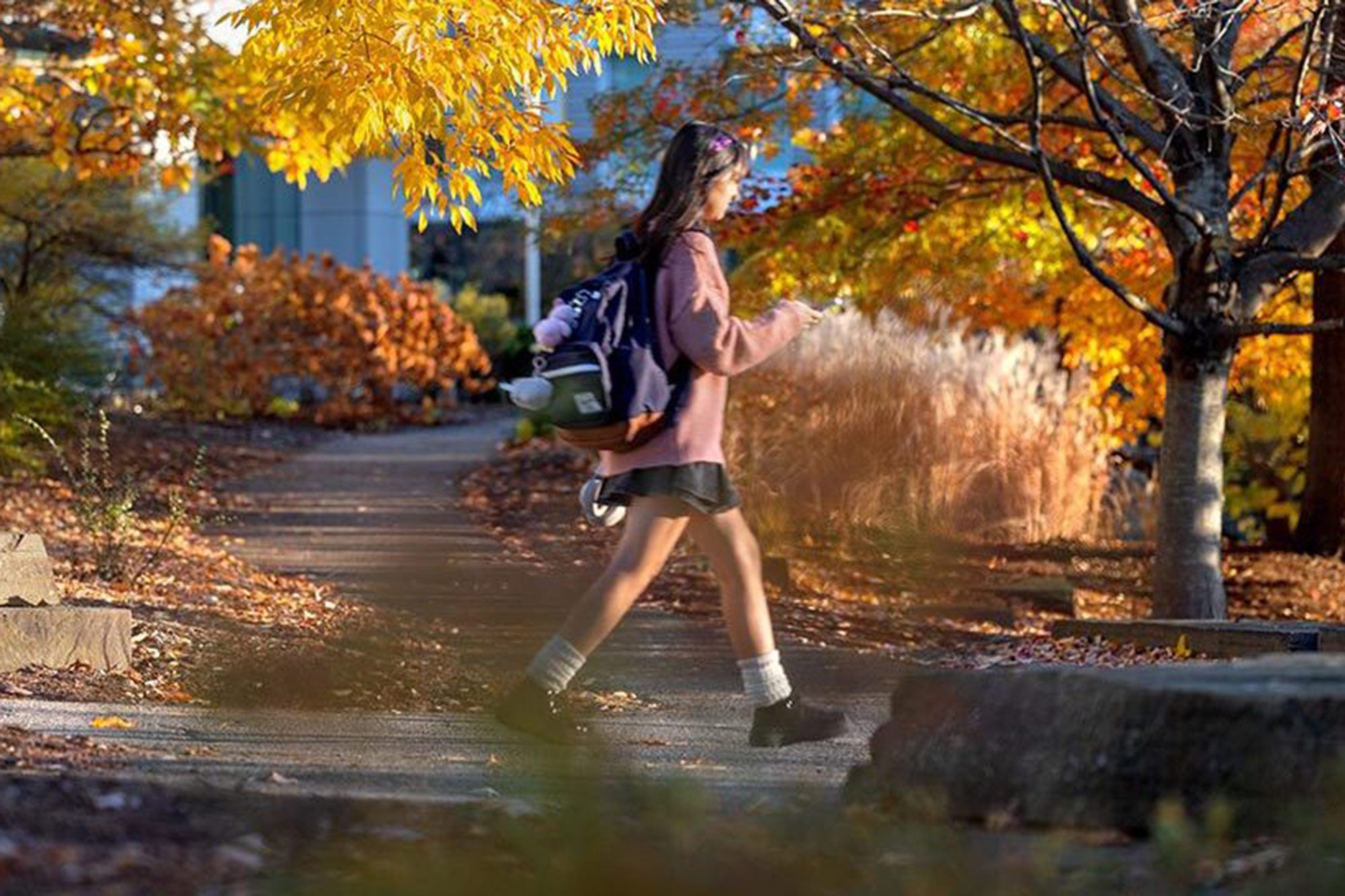 Student walking through campus during fall
