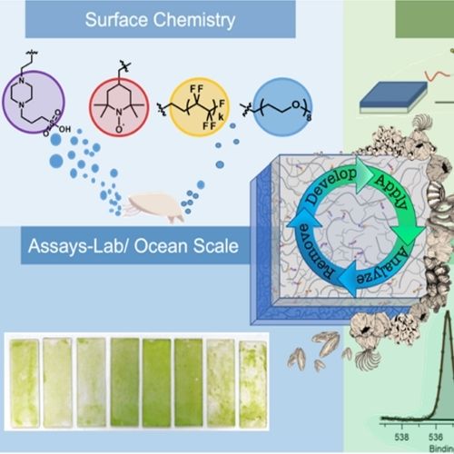 Chris Ober's research on Anti biofouling surface active block copolymers