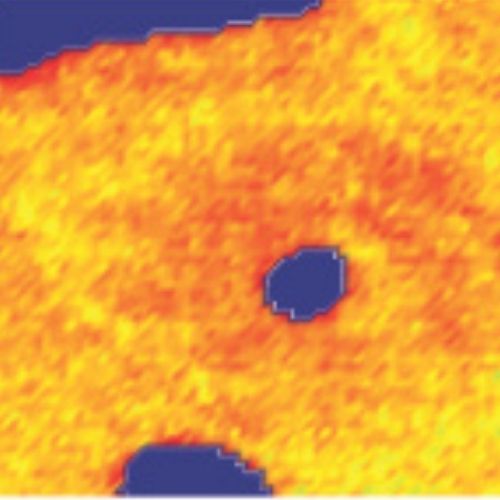 Eve Donnelly research image from Donnelly group