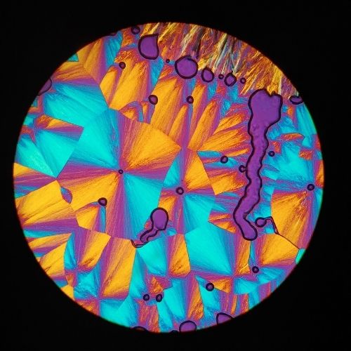 Crosspolarized microscope image of cholesterol acetate crystals with added quarter waveplate