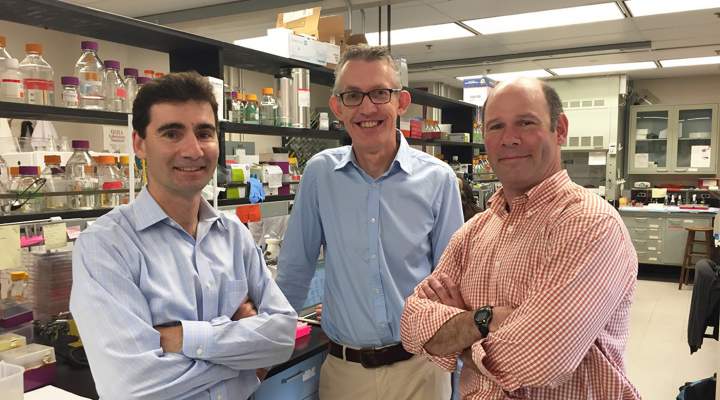Matt DeLisa, David Putnam, and Gary Whittaker in the lab