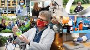 collage of researchers conducting experiments
