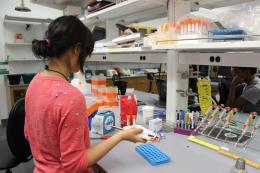 iGEM member uses the Weill BME lab. 
