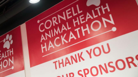 cornell animal health hackaton poster