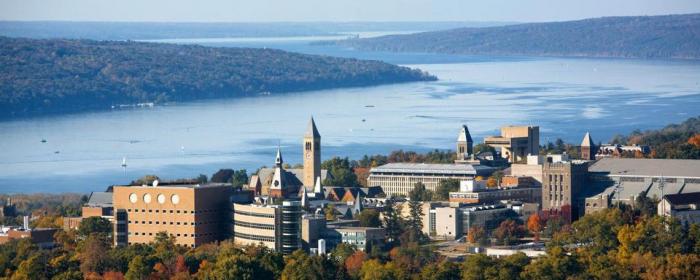 Background of Cornell from above
