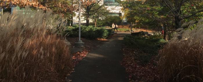 Students walk on the engineering quad during the fall semester
