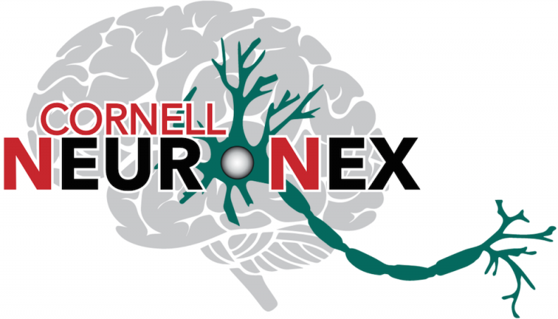 NeuroNex Logo