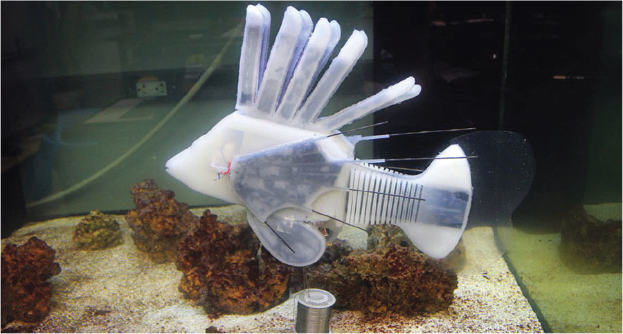 fish robot