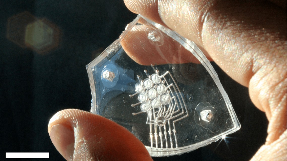 fingers hold a flexible microchip