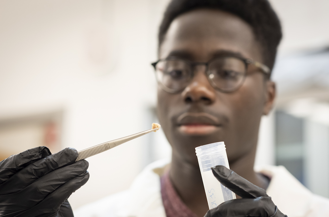 student examines a bone sample in lab