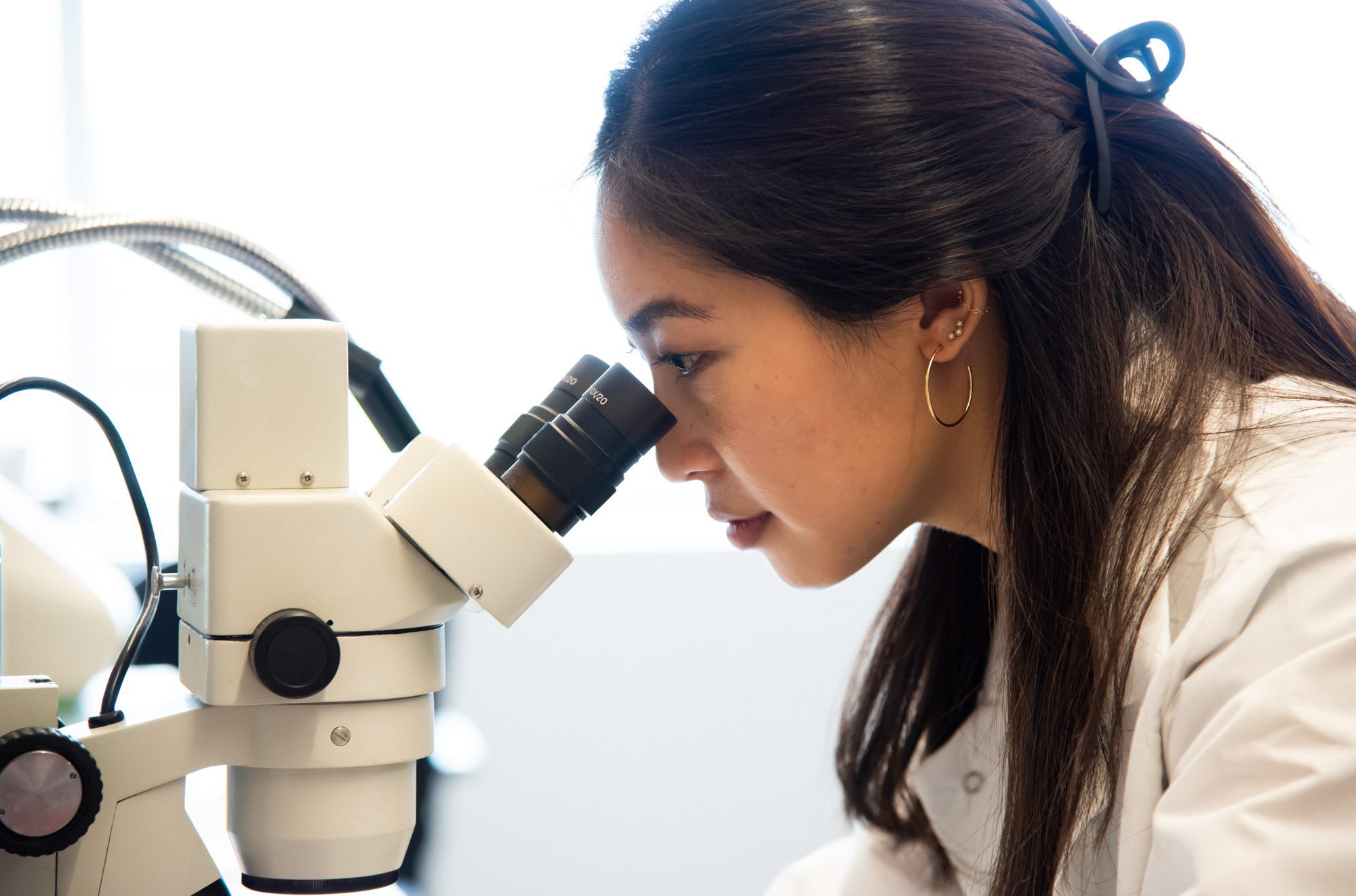 Student in the Kwan Group looks into microscope