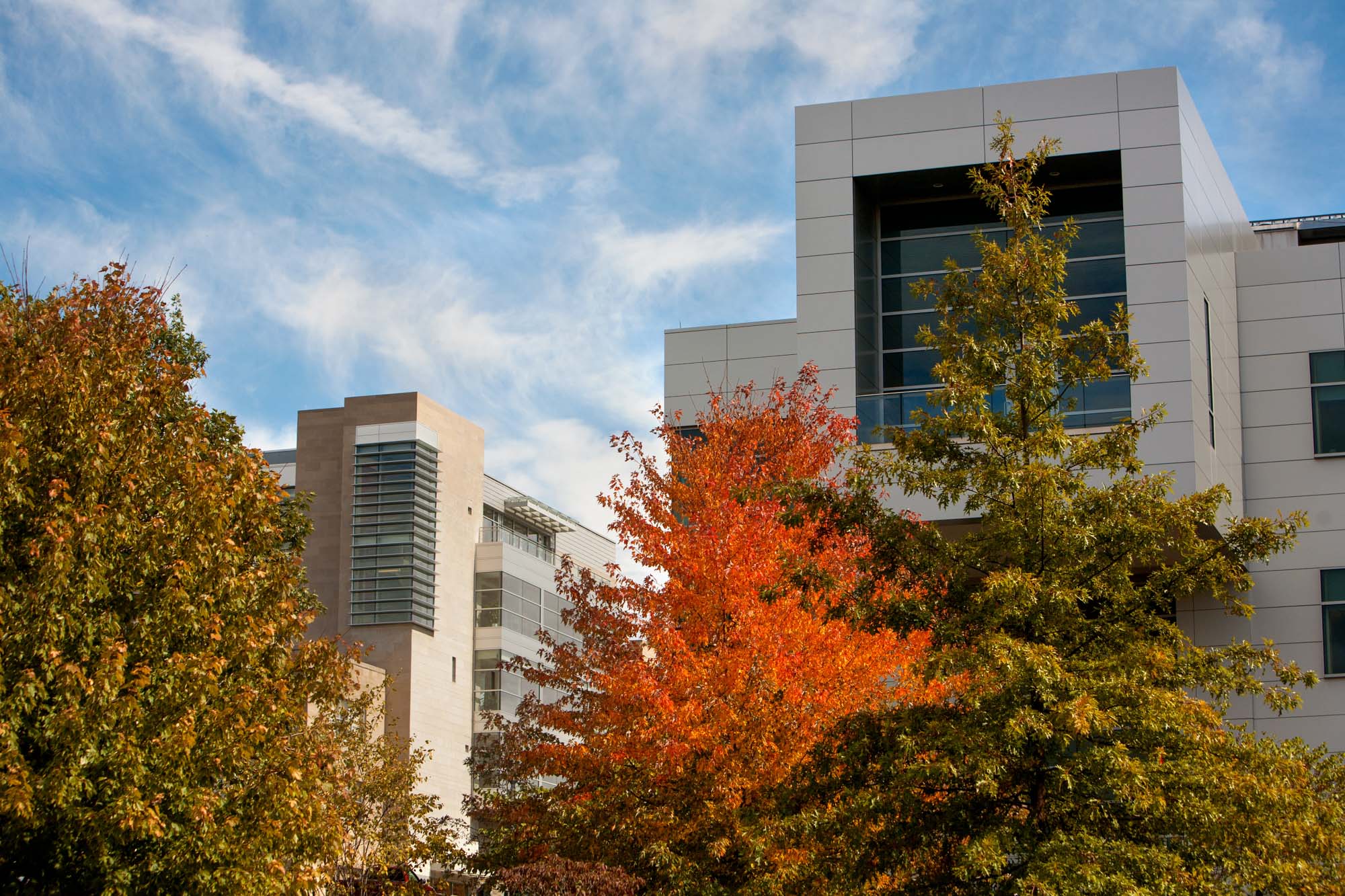 Duffield Hall in the fall