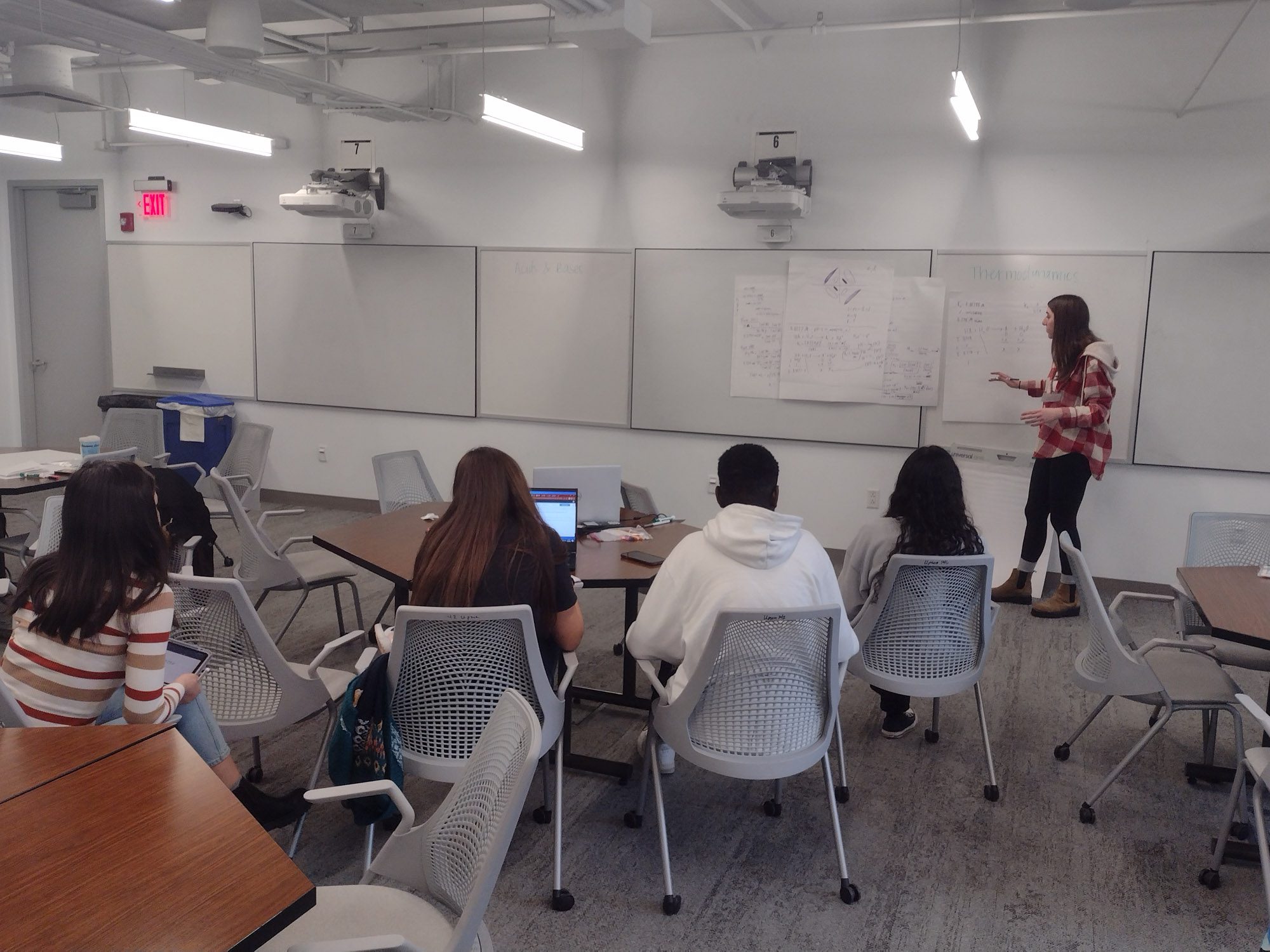 Student tutors lead a study group