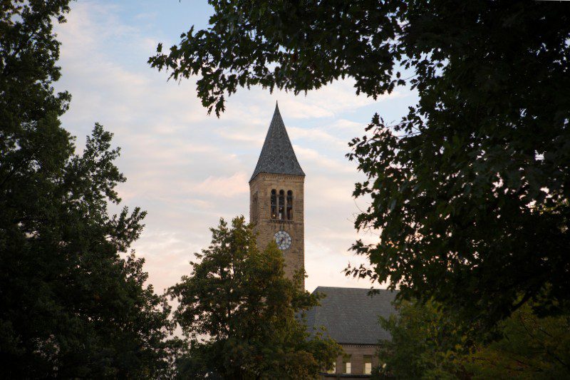 McGraw tower surrounded by trees