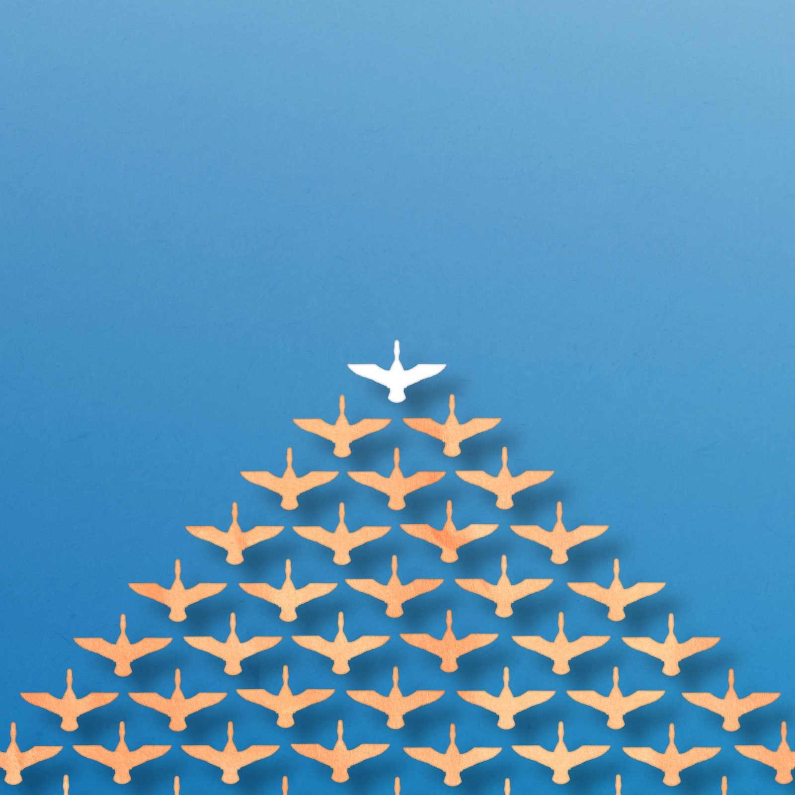 An illustration of birds flying in a 