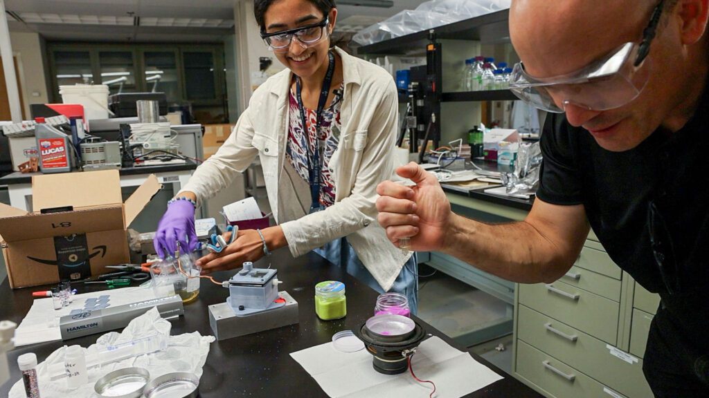 Tobias Hanrath and Anjali Asthagiri work together in lab