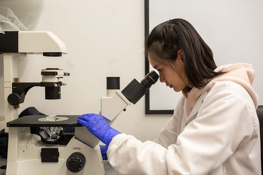 Student wearing medical protective gear looks into microscope at clear rectangular substance.
